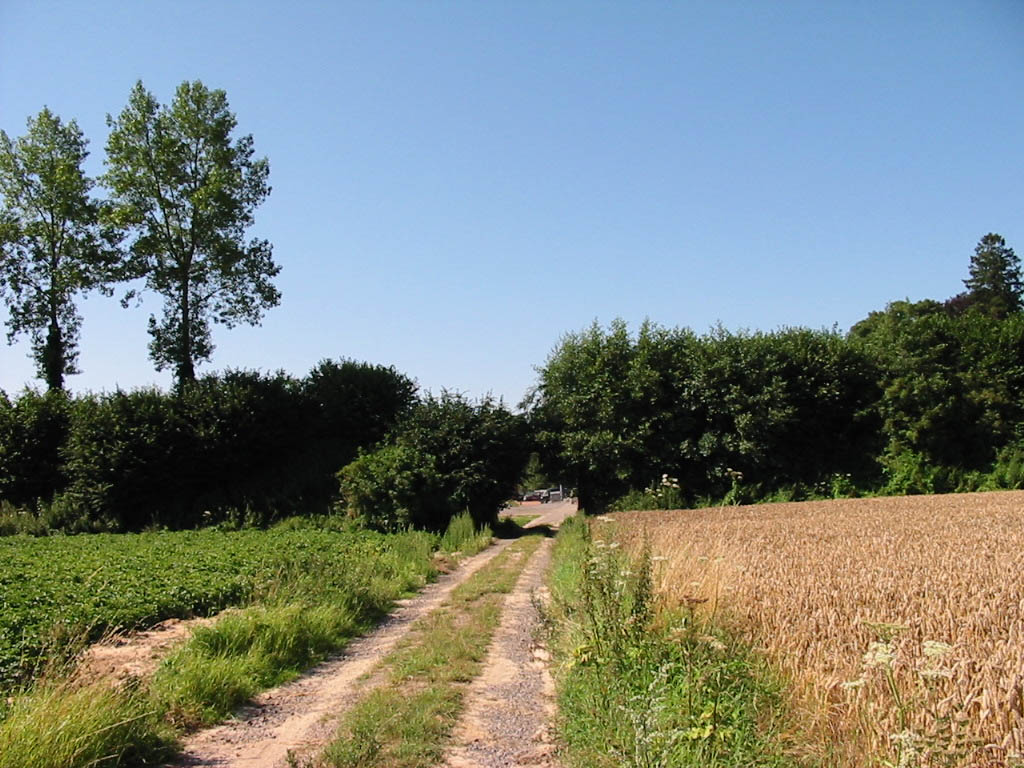 Programme FERNELMONT - Les haies et alignement d'arbres